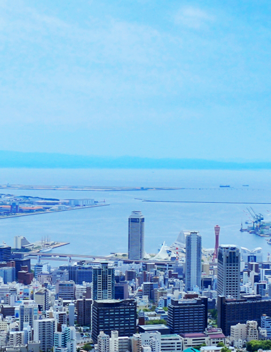海と町の景色